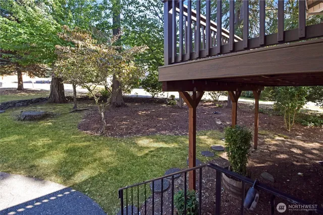 a view of a backyard with large trees and plants