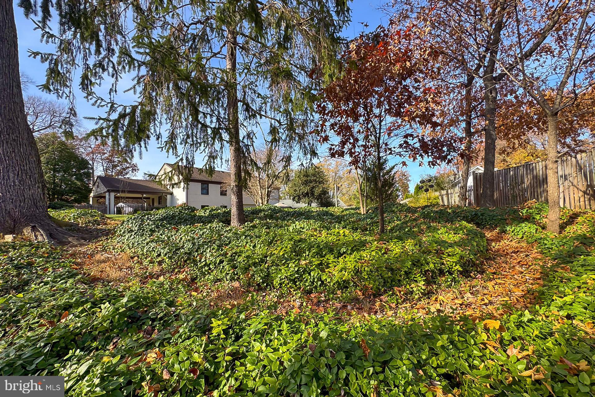6703 Doane Avenue Springfield, VA 22152 - Photo 45 of 52 Gallery Image 45