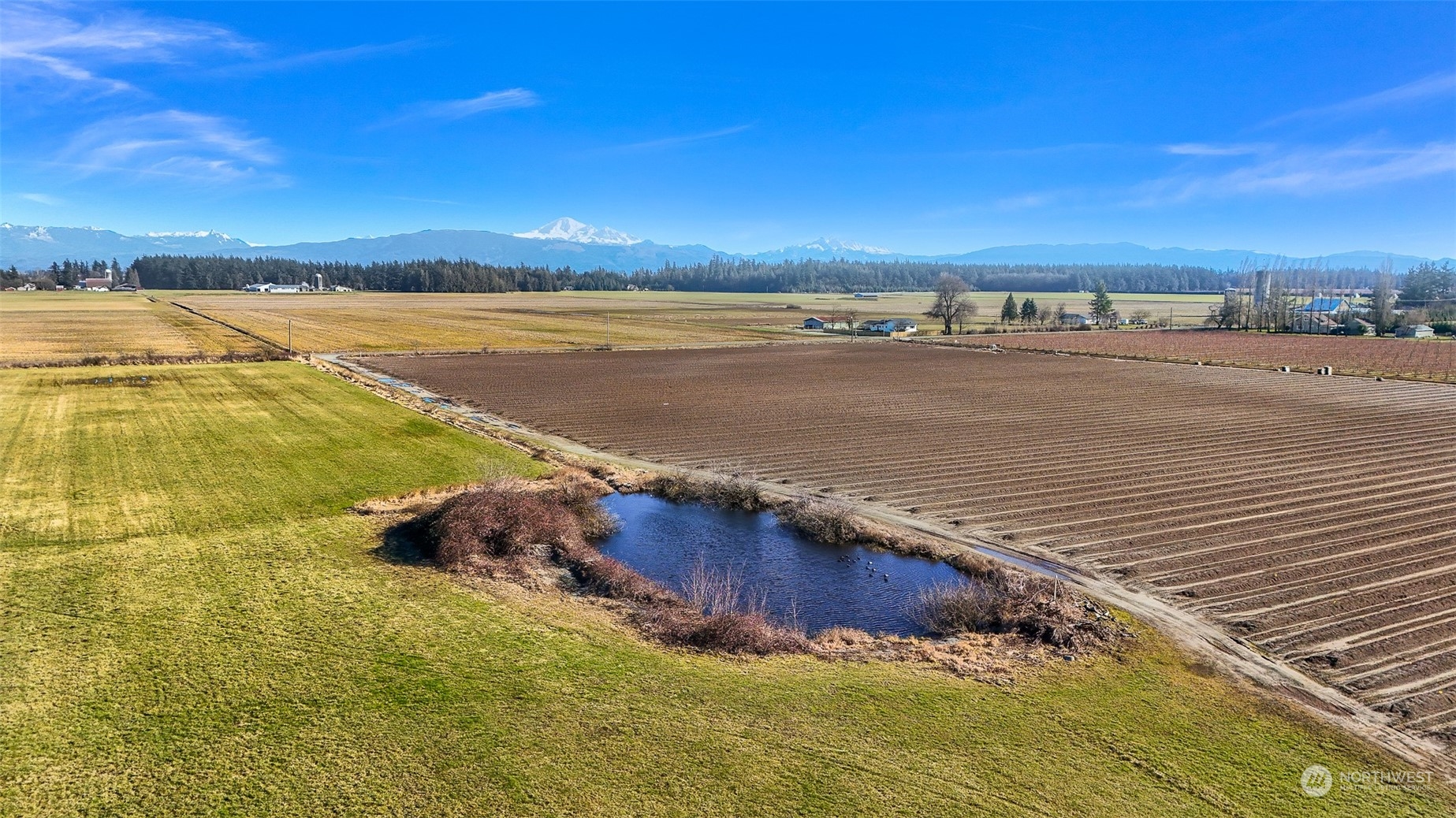 9073 Weidkamp Road Lynden, WA 98264 - Photo 10 of 36 Gallery Image 10