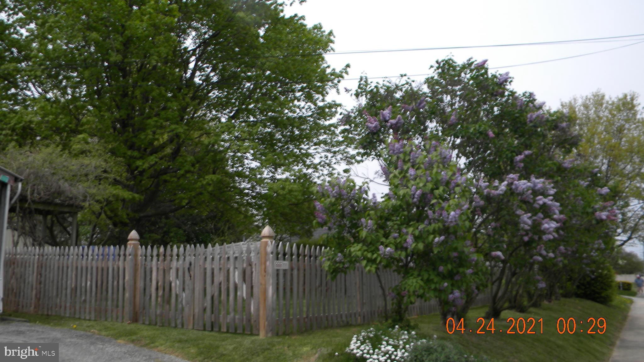 36 Clearview Road Hanover, PA 17331 - Photo 40 of 41 Lilac lined fence rear yard.