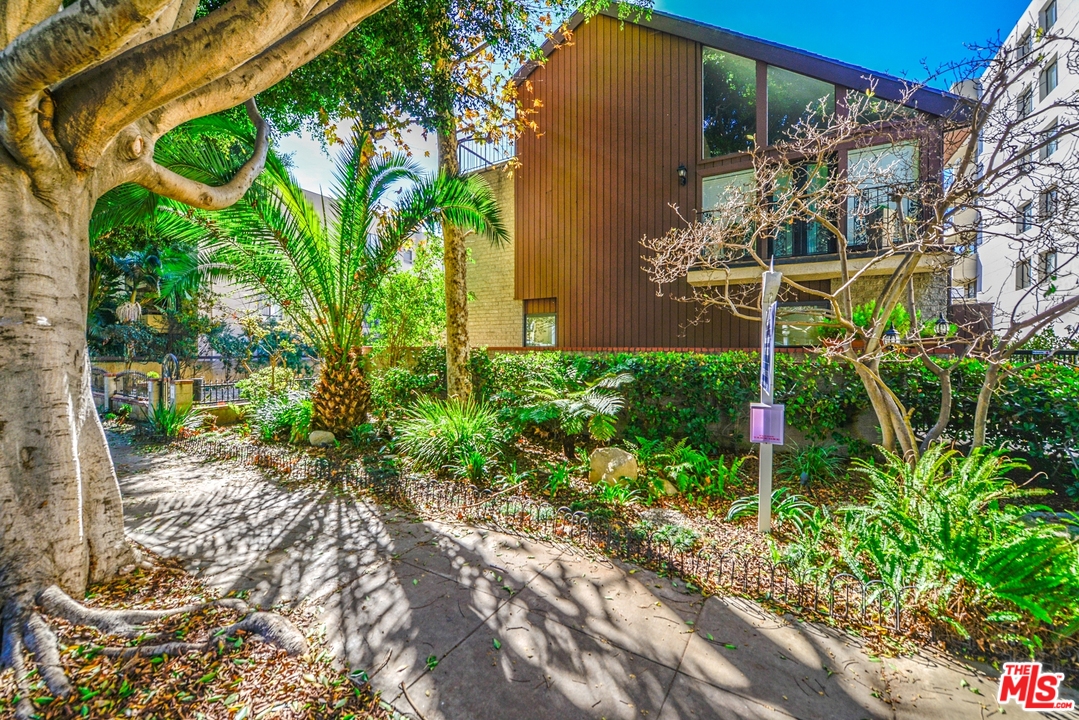 914 2nd Street, Unit B Santa Monica, CA 90403 - Photo 27 of 29 a backyard of a building with large trees and plants