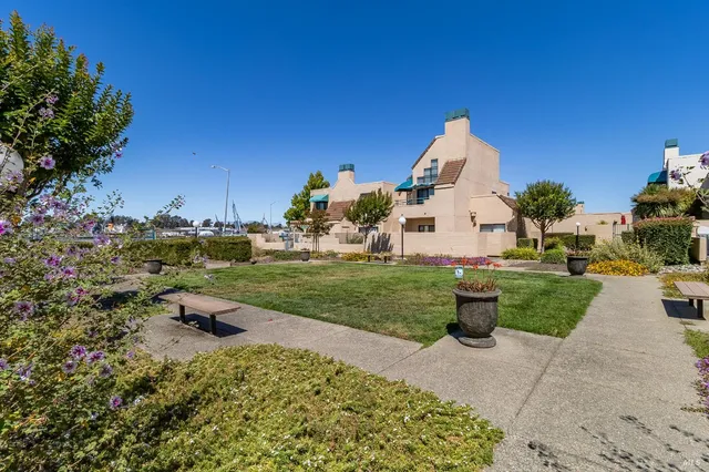 a view of a garden with plants and large trees