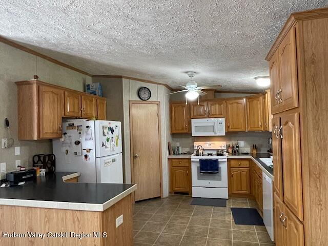 21 Terrace Manor Road South Cairo, NY 12482 - Photo 4 of 20 Kitchen