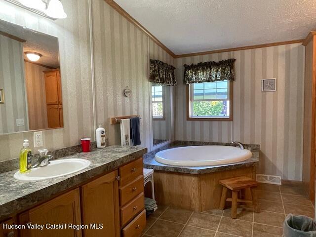 21 Terrace Manor Road South Cairo, NY 12482 - Photo 8 of 20 Primary Bath Room