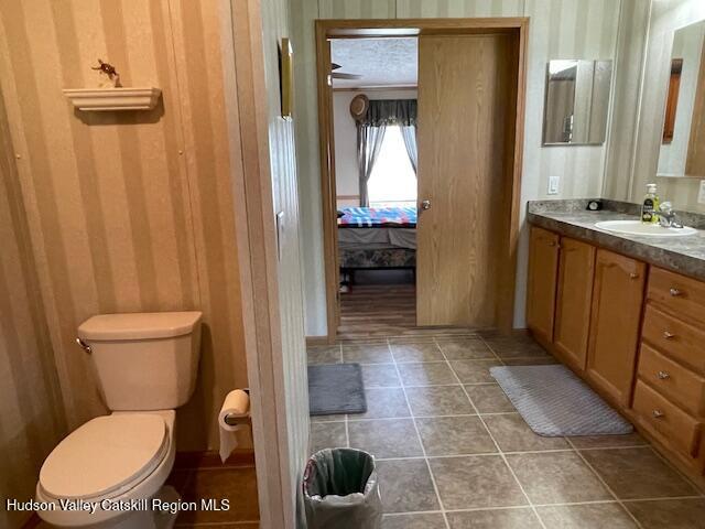 21 Terrace Manor Road South Cairo, NY 12482 - Photo 9 of 20 Primary Bath