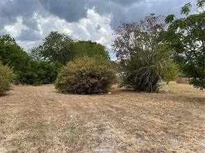 a view of a dry yard