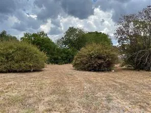a view of an outdoor space and a yard