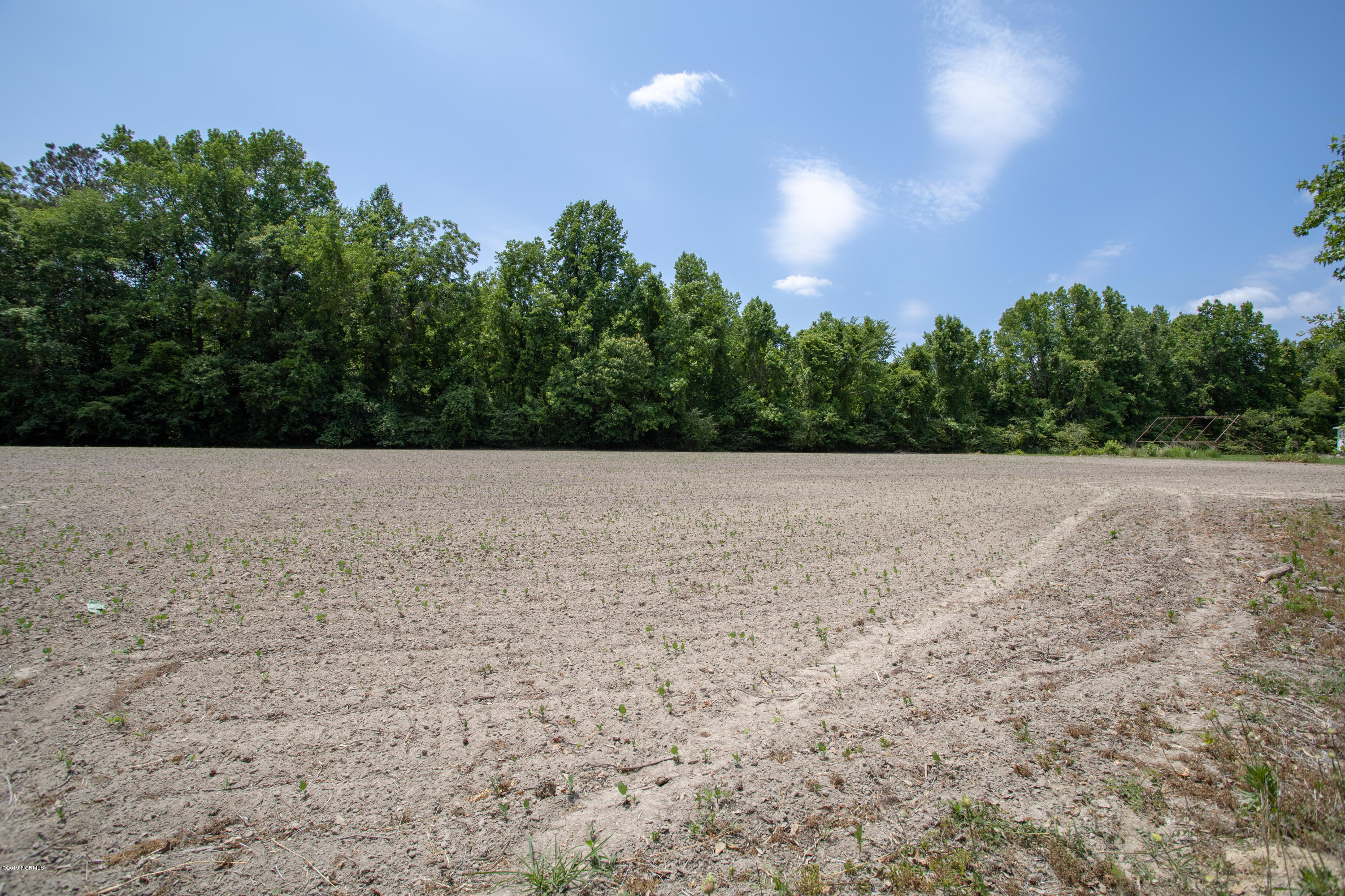 336 White Post Road Pinetown, NC 27865 - Photo 46 of 47 045 Farmed Land
