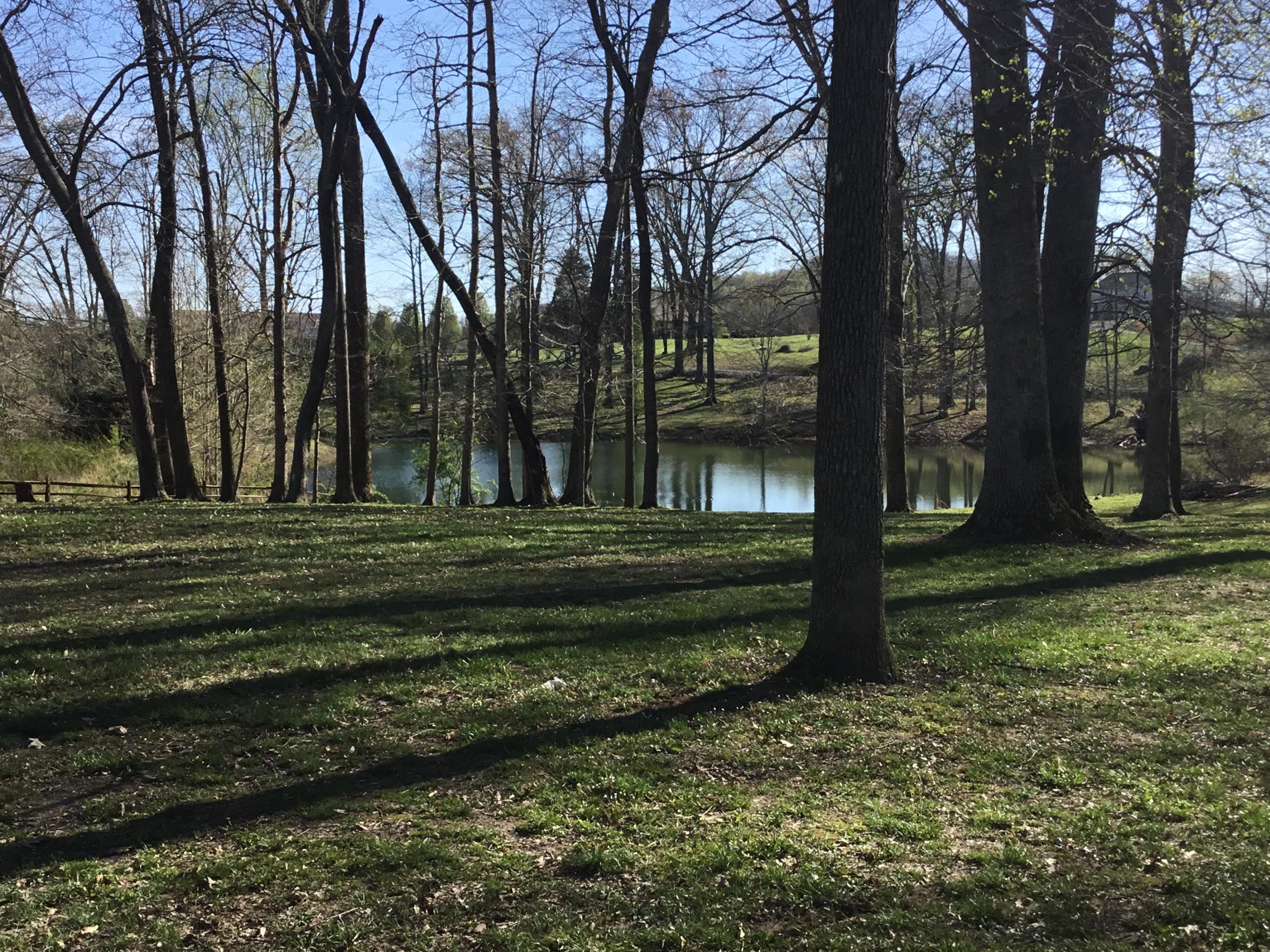 328 Farahs Way Science Hill, KY 42553 - Photo 22 of 83 IMG_1772