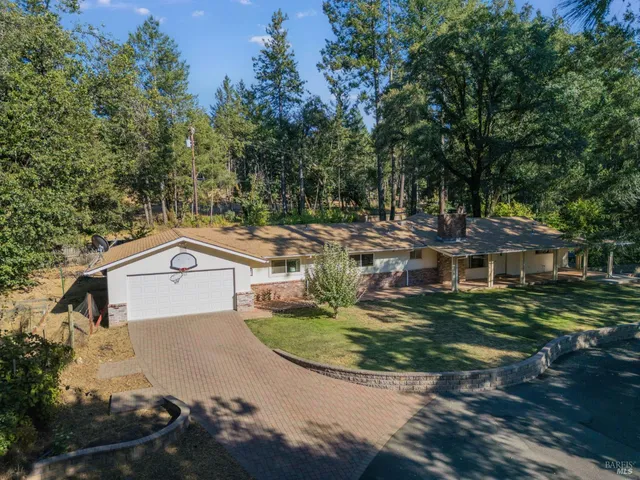 a view of a yard with plants and large trees