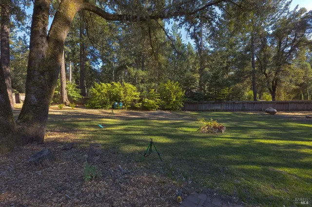 a view of a house with backyard and trees