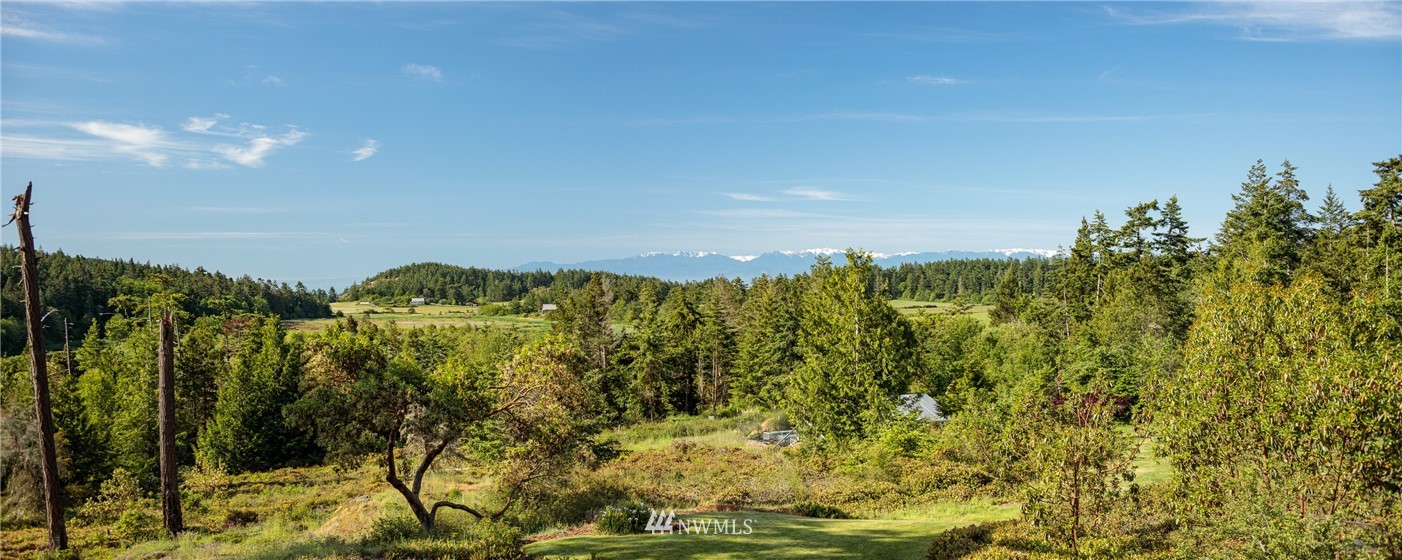 4489 Mud Bay Road Lopez Island, WA 98261 - Photo 3 of 22 Gallery Image 3