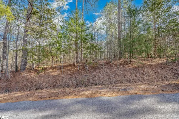$9,900 | 0 Barrett Road, Waterloo, SC 29384
