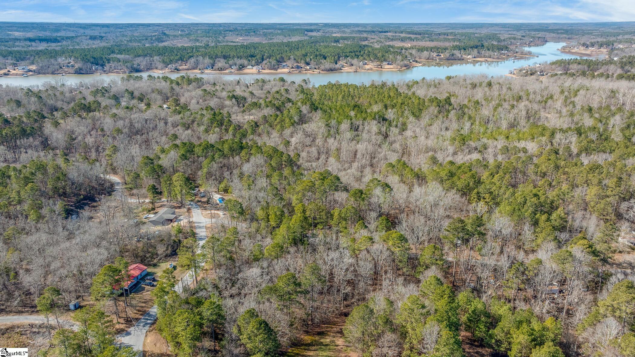 0 Barrett Road Waterloo, SC 29384 - Photo 2 of 12
