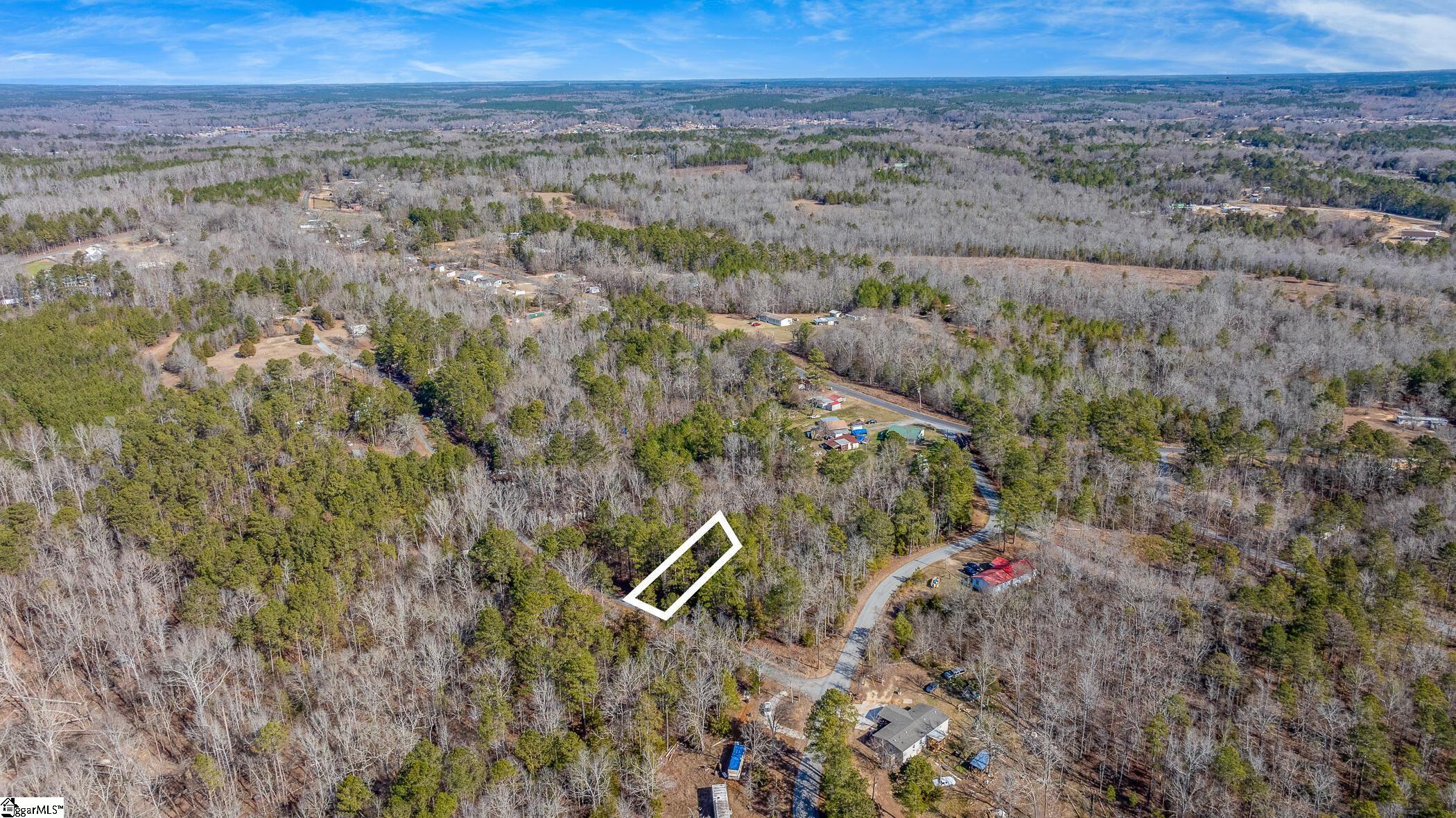 0 Barrett Road Waterloo, SC 29384 - Photo 3 of 12