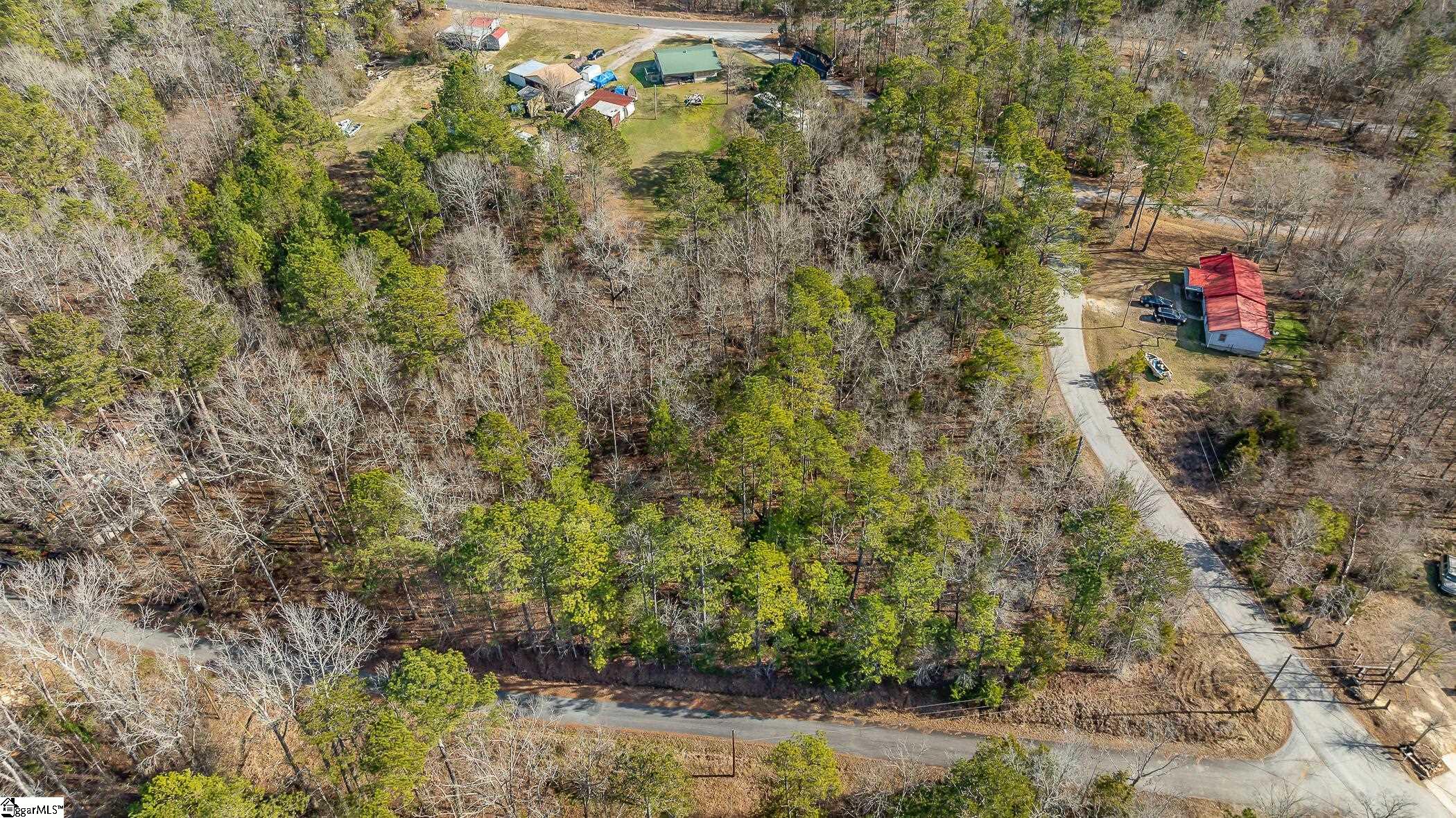 0 Barrett Road Waterloo, SC 29384 - Photo 7 of 12