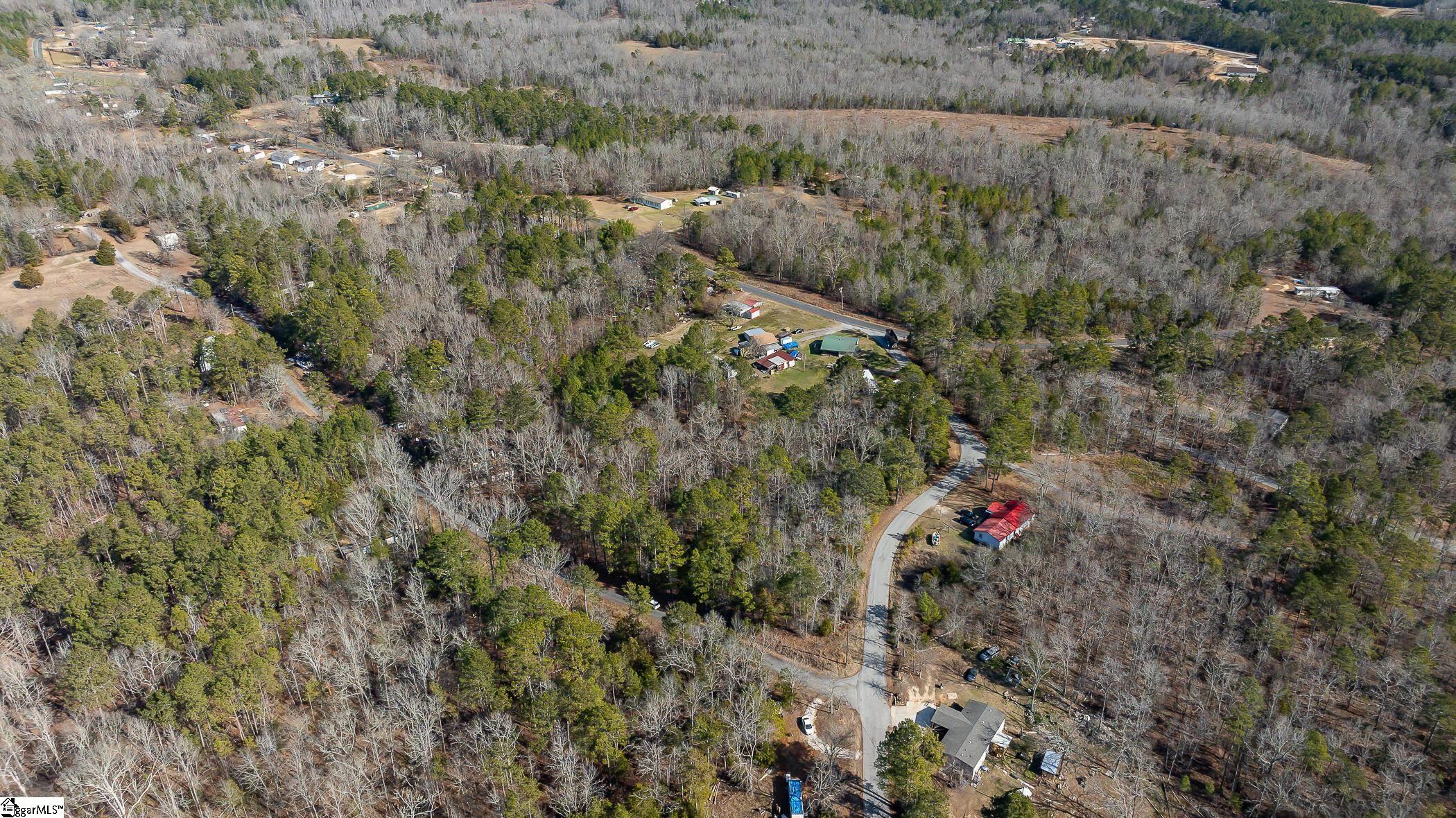 0 Barrett Road Waterloo, SC 29384 - Photo 9 of 12