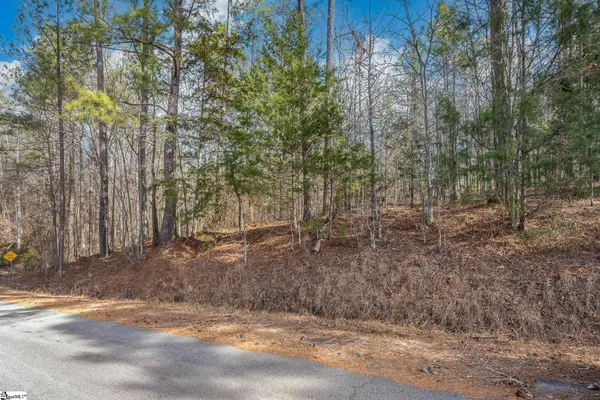 $9,900 | 0 Barrett Road, Waterloo, SC 29384