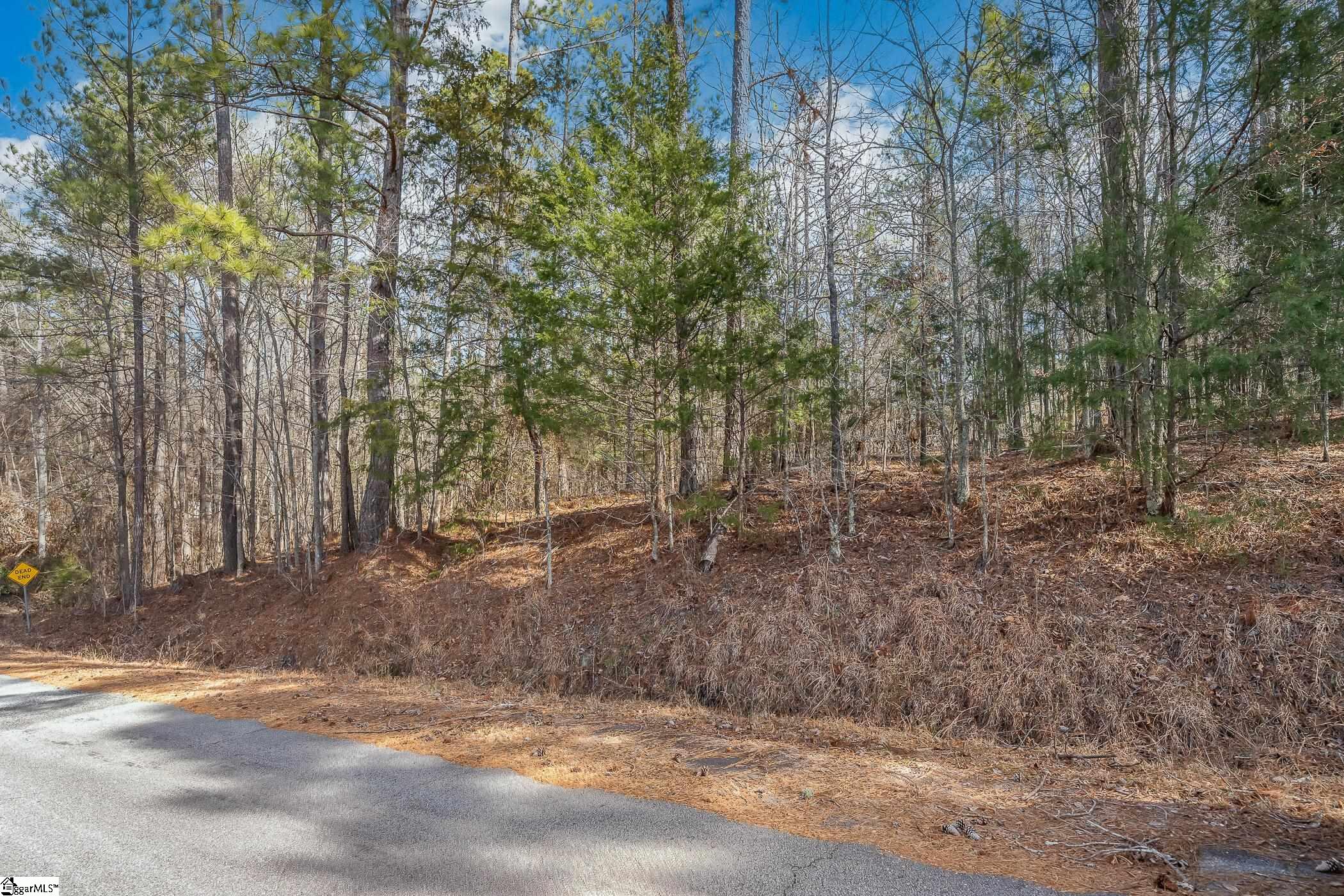 0 Barrett Road Waterloo, SC 29384 - Photo 10 of 12