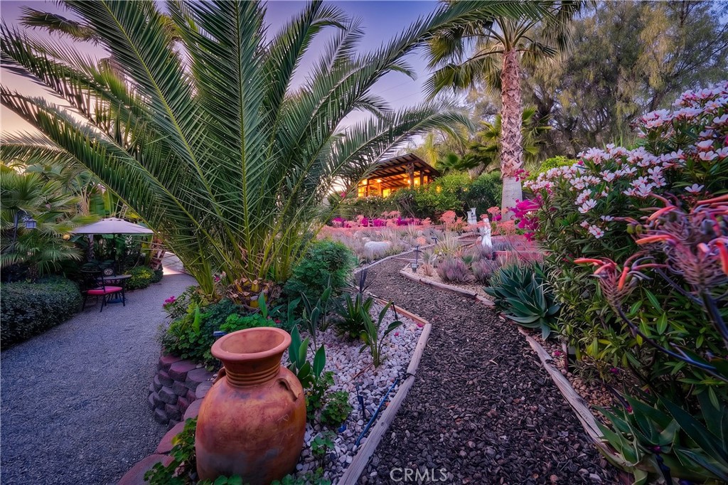 23734 Vista Ramona Road Ramona, CA 92065 - Photo 22 of 62 a view of a garden with flowers