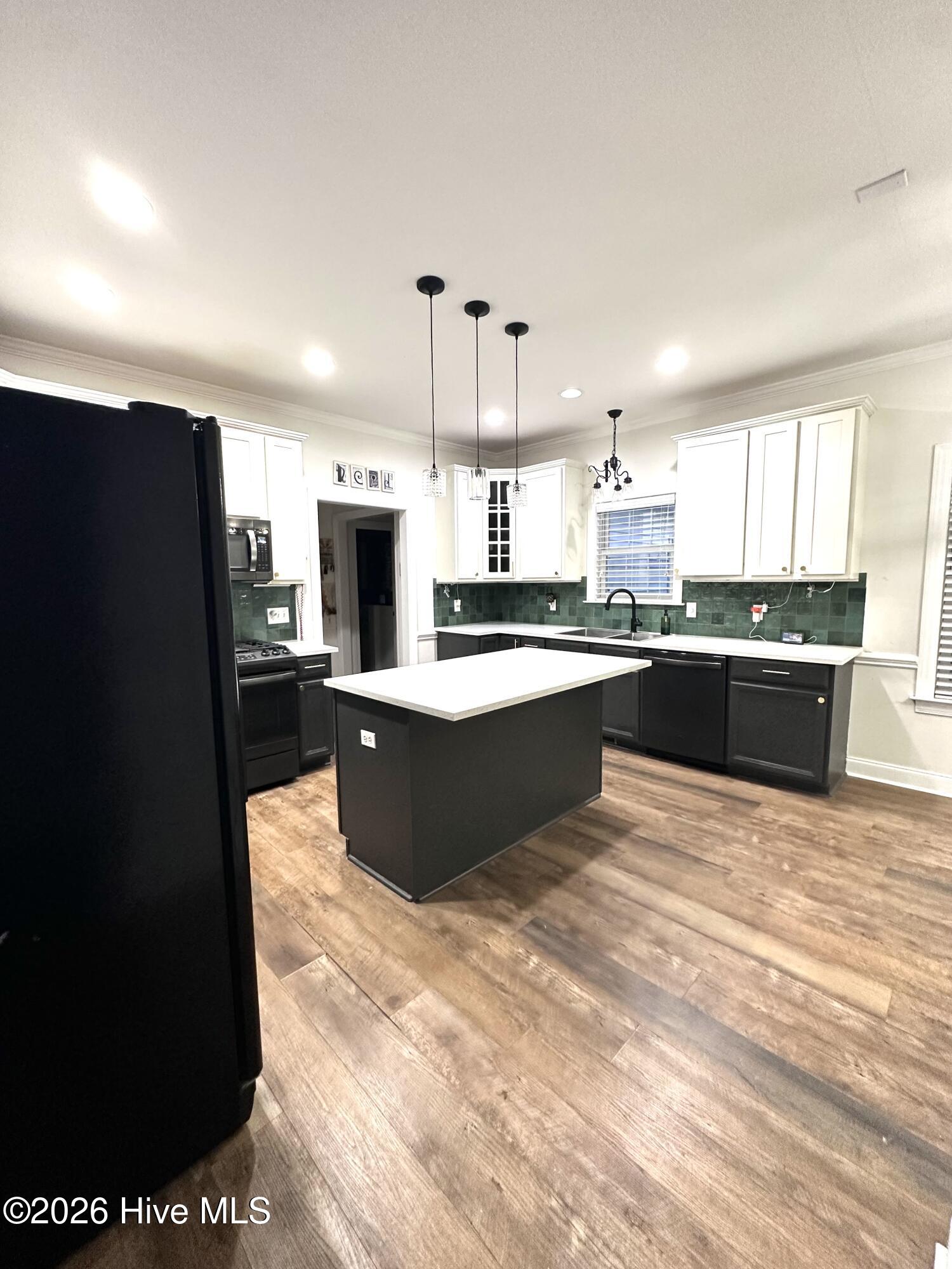 227 River Branch Road Greenville, NC 27858 - Photo 20 of 44 IMG_2697