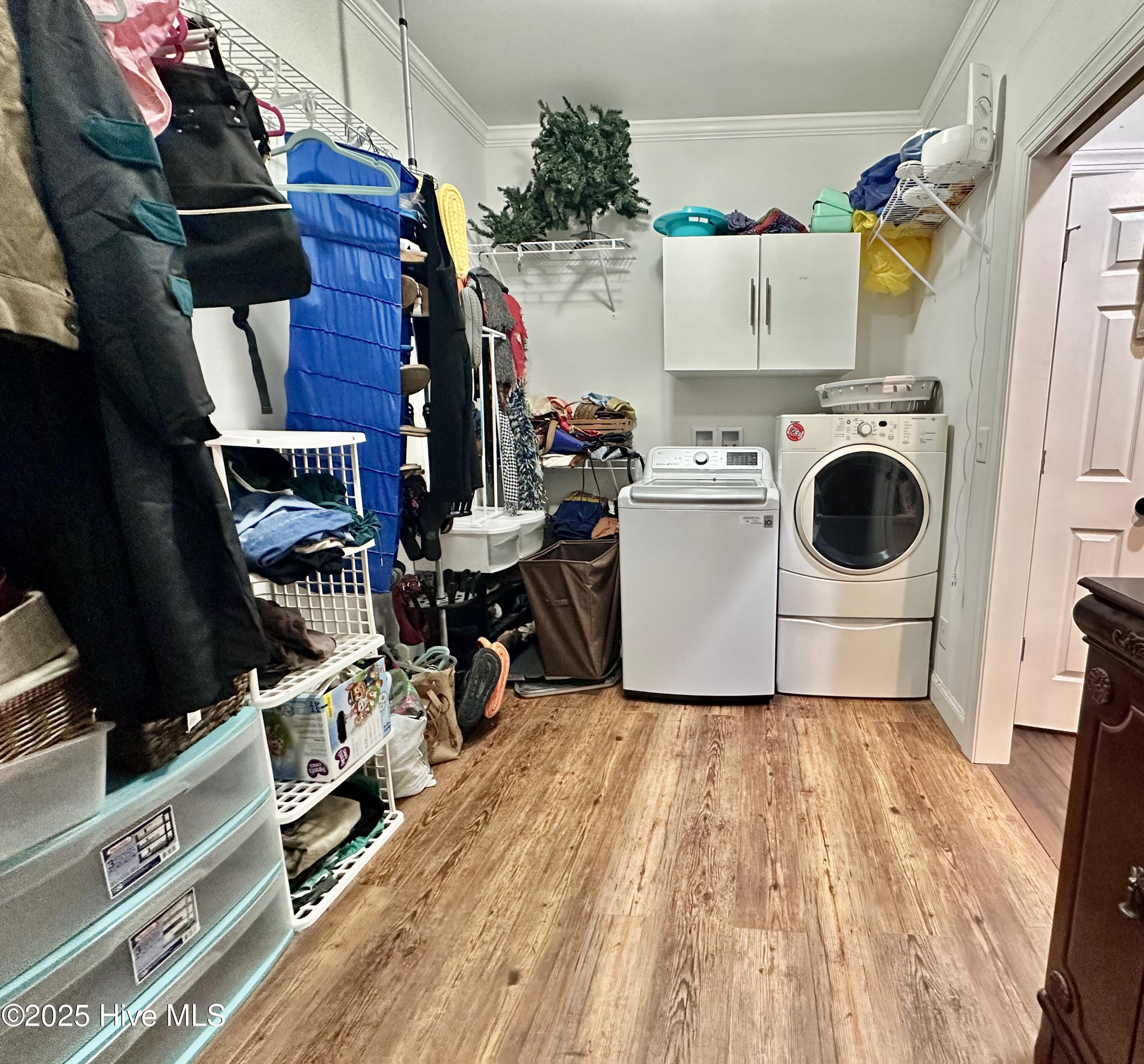 227 River Branch Road Greenville, NC 27858 - Photo 28 of 44 owner closet 1