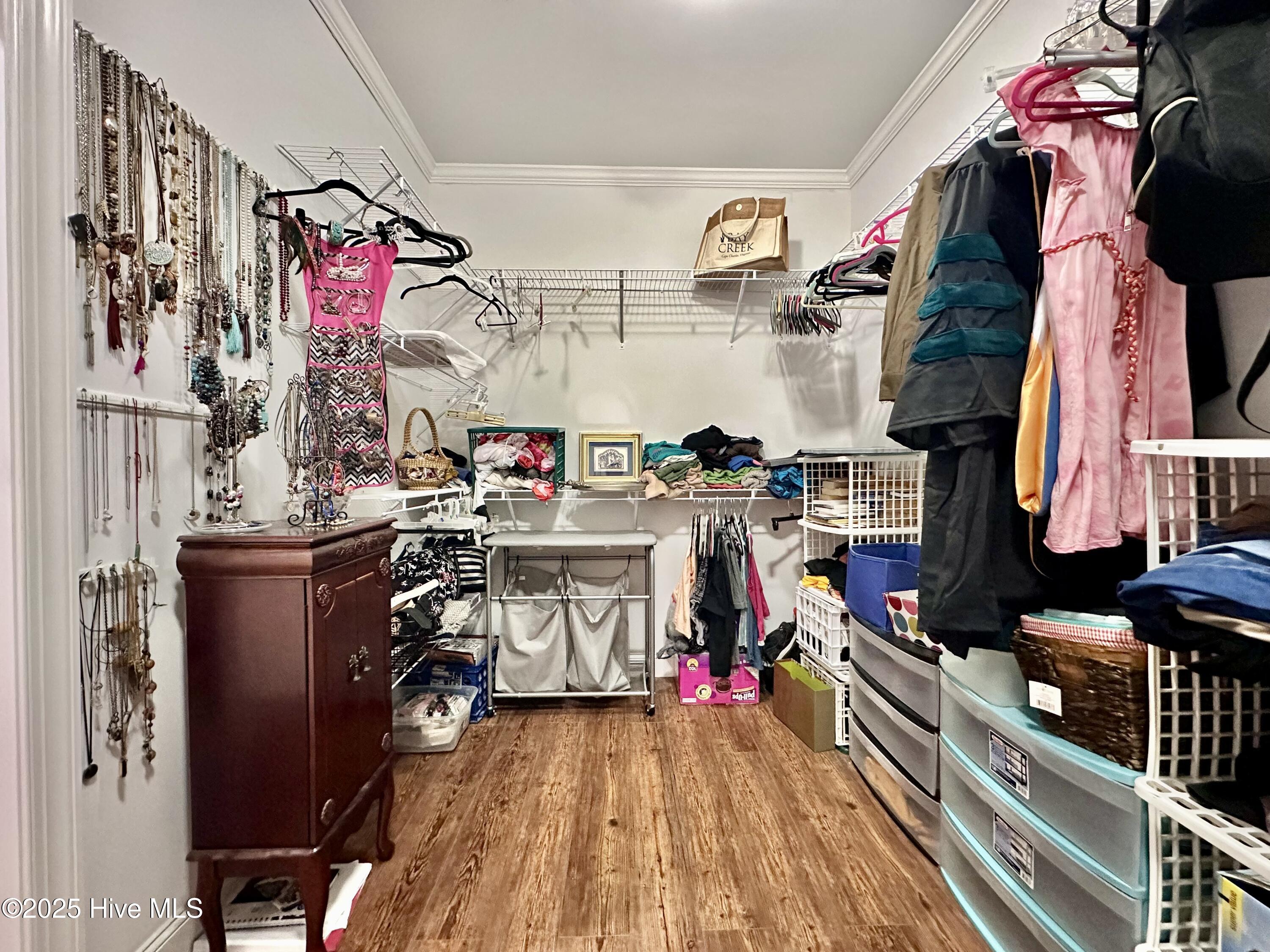 227 River Branch Road Greenville, NC 27858 - Photo 29 of 44 owner closet 1