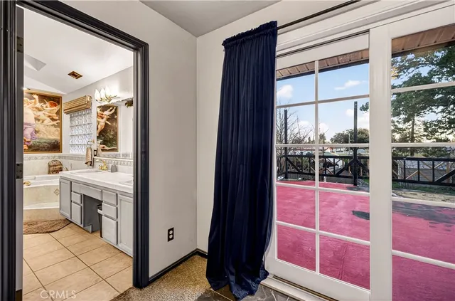 a view of a yard with plants and large trees