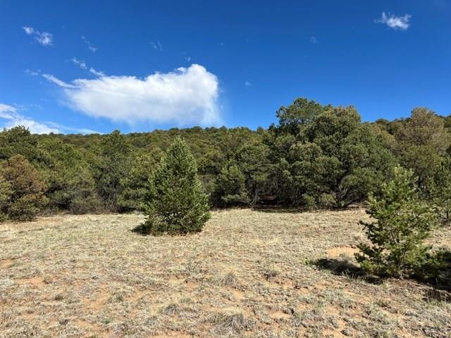 96 River Ridge Trail Walsenburg, CO 81089 - Photo 2 of 28