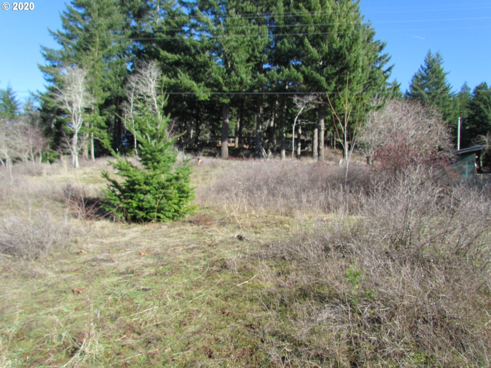 440 Snowden Road White Salmon, WA 98672 - Photo 12 of 23