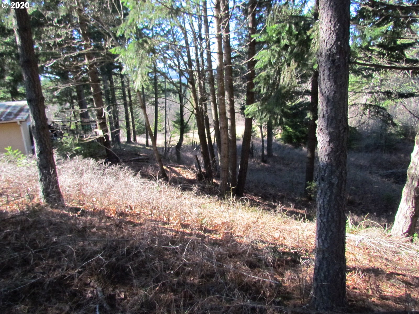 440 Snowden Road White Salmon, WA 98672 - Photo 20 of 23