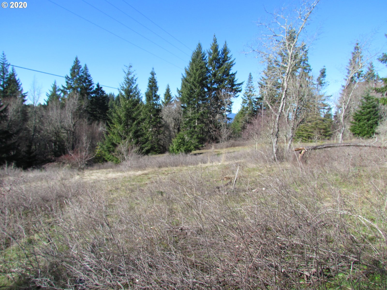 440 Snowden Road White Salmon, WA 98672 - Photo 7 of 23