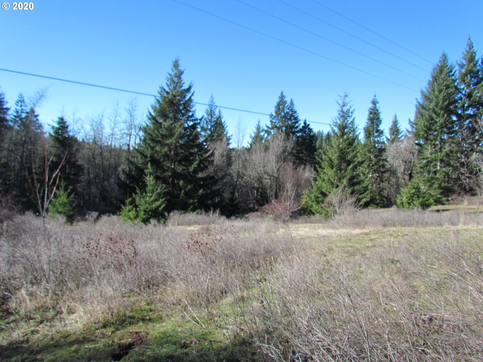 440 Snowden Road White Salmon, WA 98672 - Photo 8 of 23