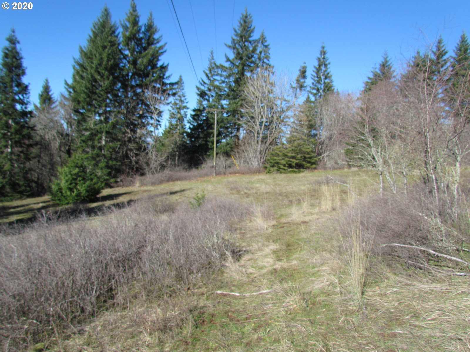 440 Snowden Road White Salmon, WA 98672 - Photo 9 of 23
