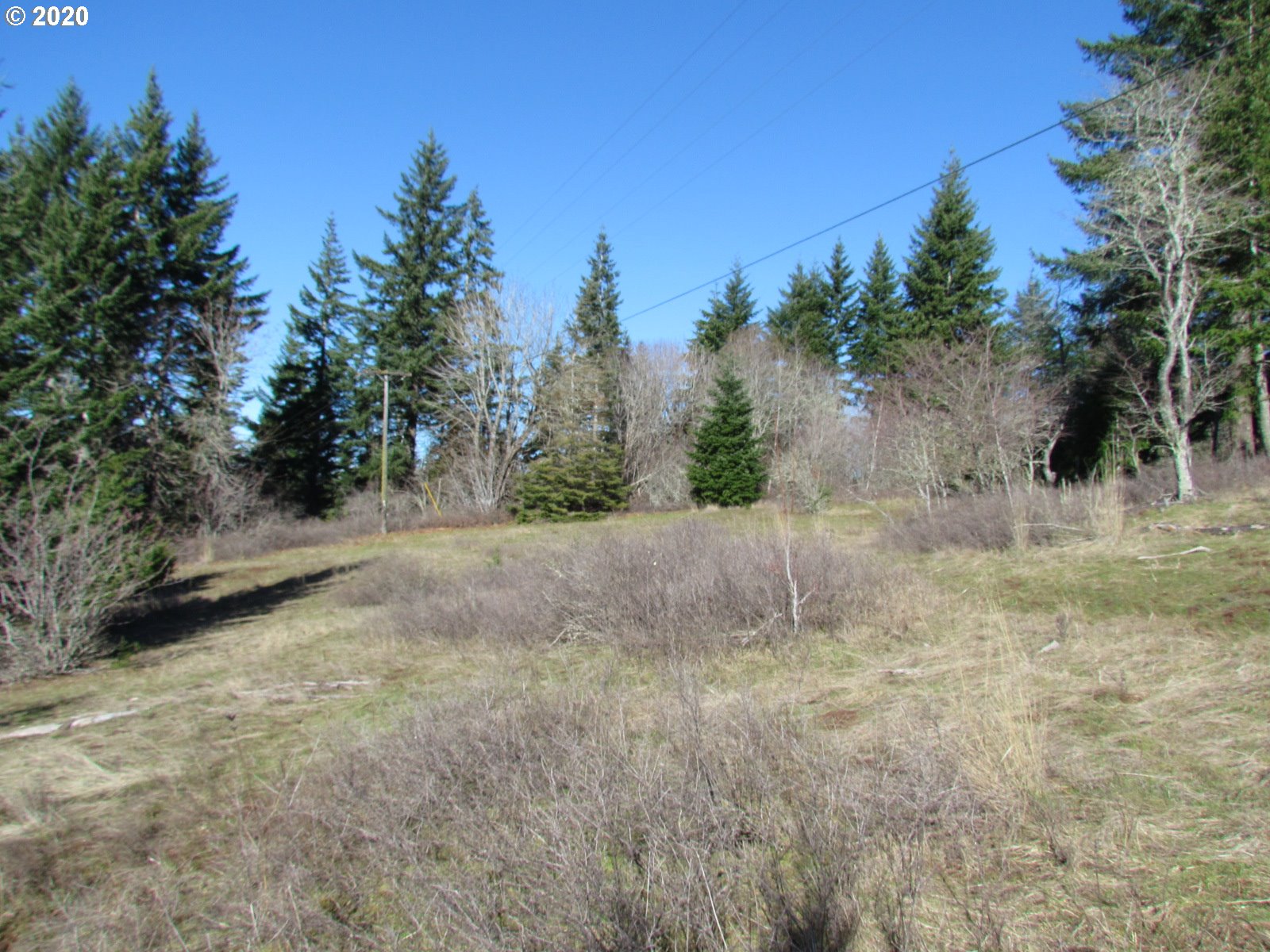 440 Snowden Road White Salmon, WA 98672 - Photo 10 of 23