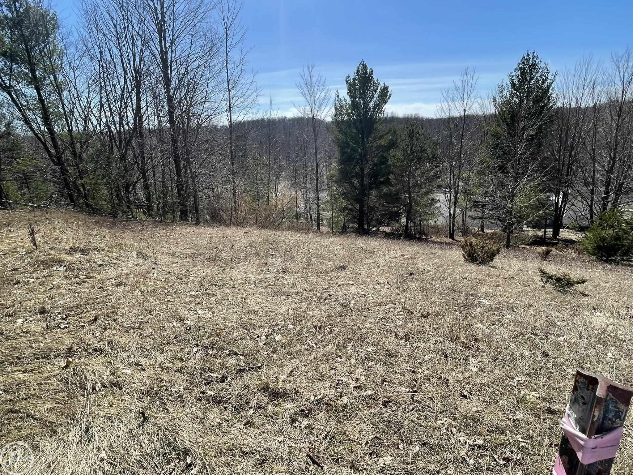 South Fritz Road Maple City, MI 49664 - Photo 11 of 14