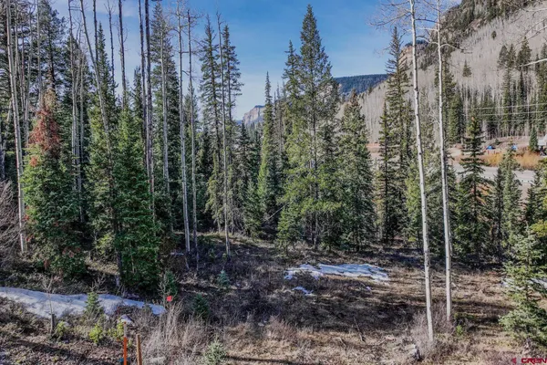 a view of a wooden house with a yard and trees