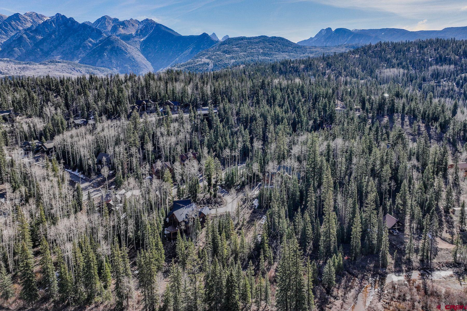 30 Grand Turk Court Durango, CO 81301 - Photo 6 of 10 a view of a forest