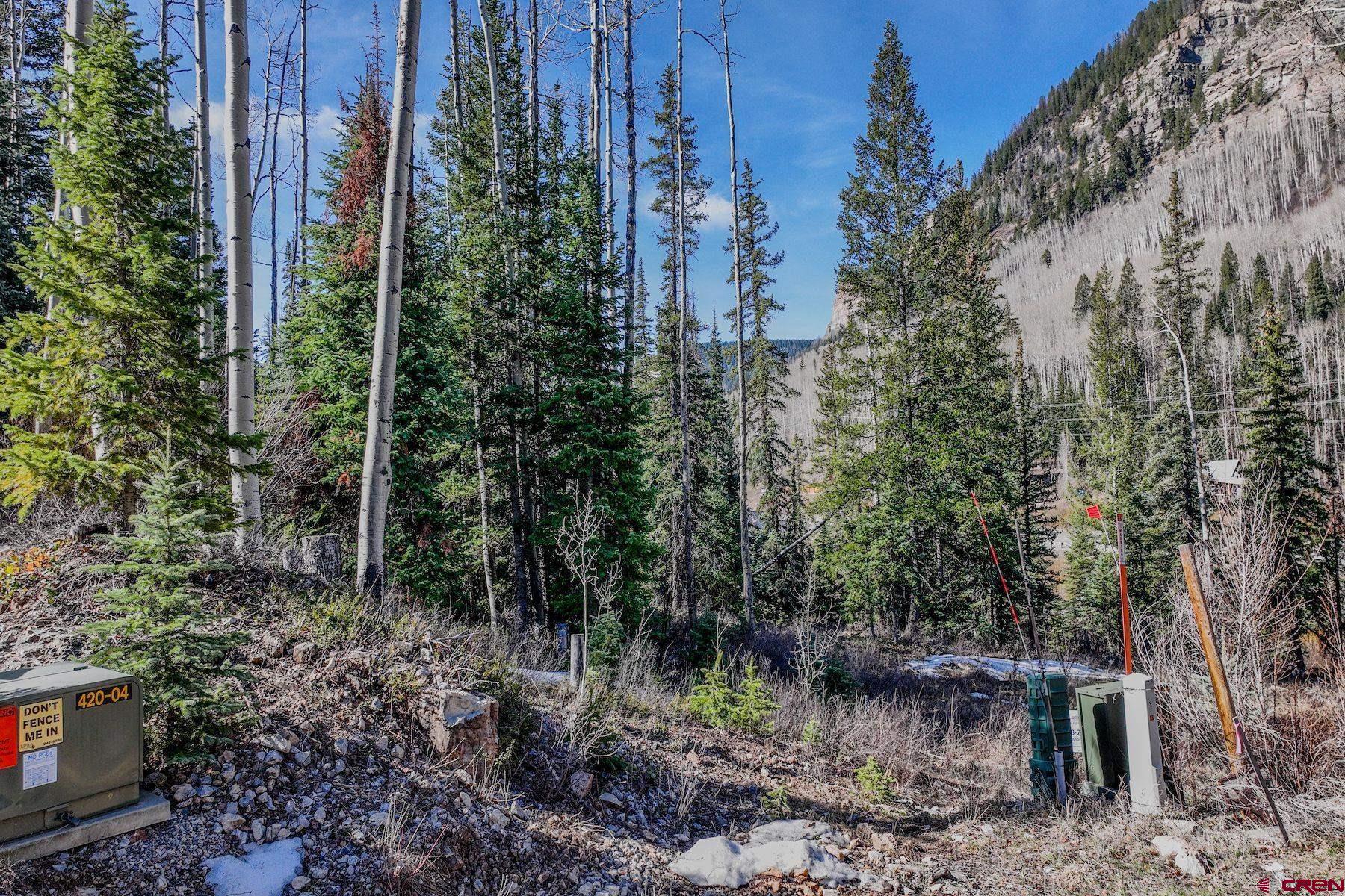 30 Grand Turk Court Durango, CO 81301 - Photo 7 of 10 a view of a forest filled with trees and flowers