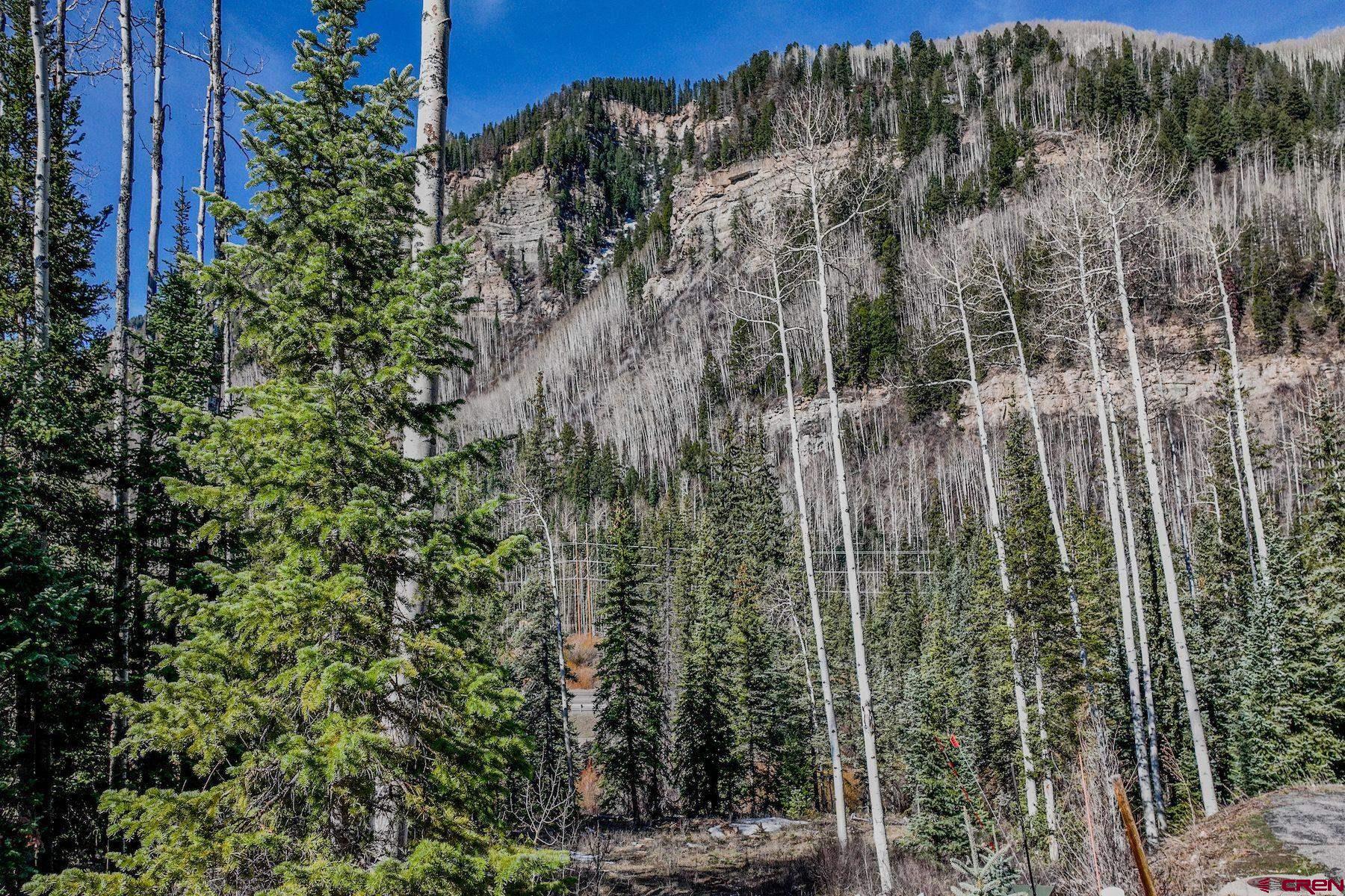 30 Grand Turk Court Durango, CO 81301 - Photo 8 of 10 a view of forest
