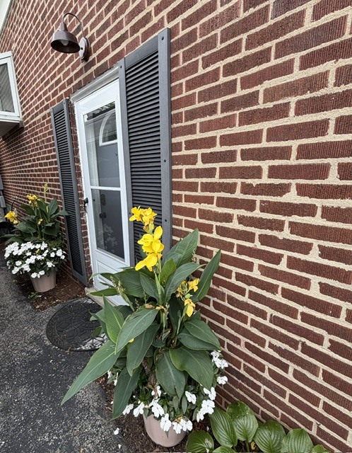 693 Spring Road Elmhurst, IL 60126 - Photo 3 of 7 Gallery Image 3