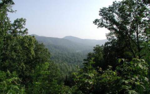 a view of a mountain range with trees in the background