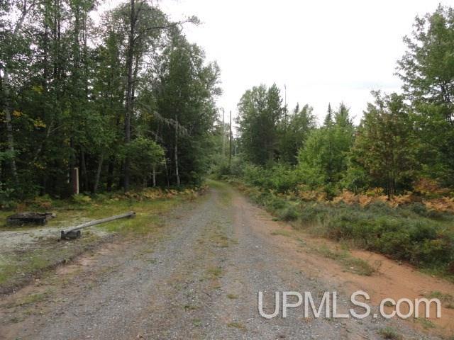 12498-12518 North Randolph Road Watton, MI 49970 - Photo 18 of 18