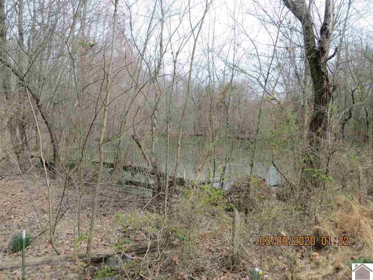 550 Hancock Road Wickliffe, KY 42087 - Photo 1 of 1 Photo 1