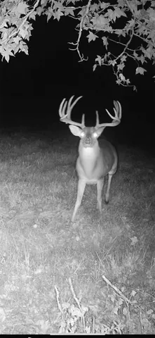 a table and chairs in a room