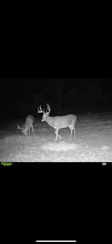 a view of wooden floor and a table in a shelf