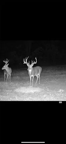 a view of a backyard with a table and chairs