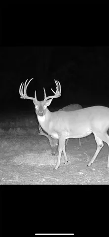 a view of table and chair