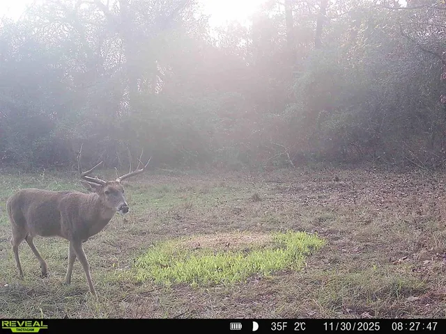 a view of wooden floor