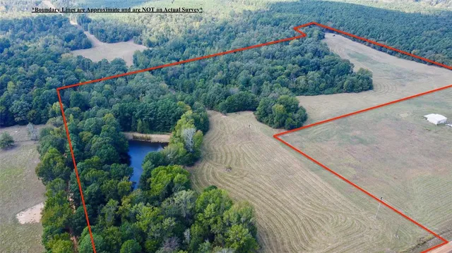 a view of a yard with an outdoor space